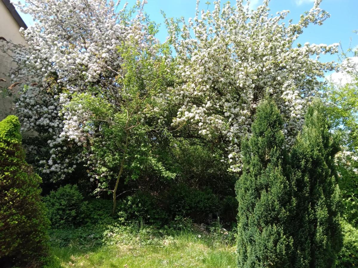 Vakantie Boerderij De Boerenzwaluw Karl Exteriör bild