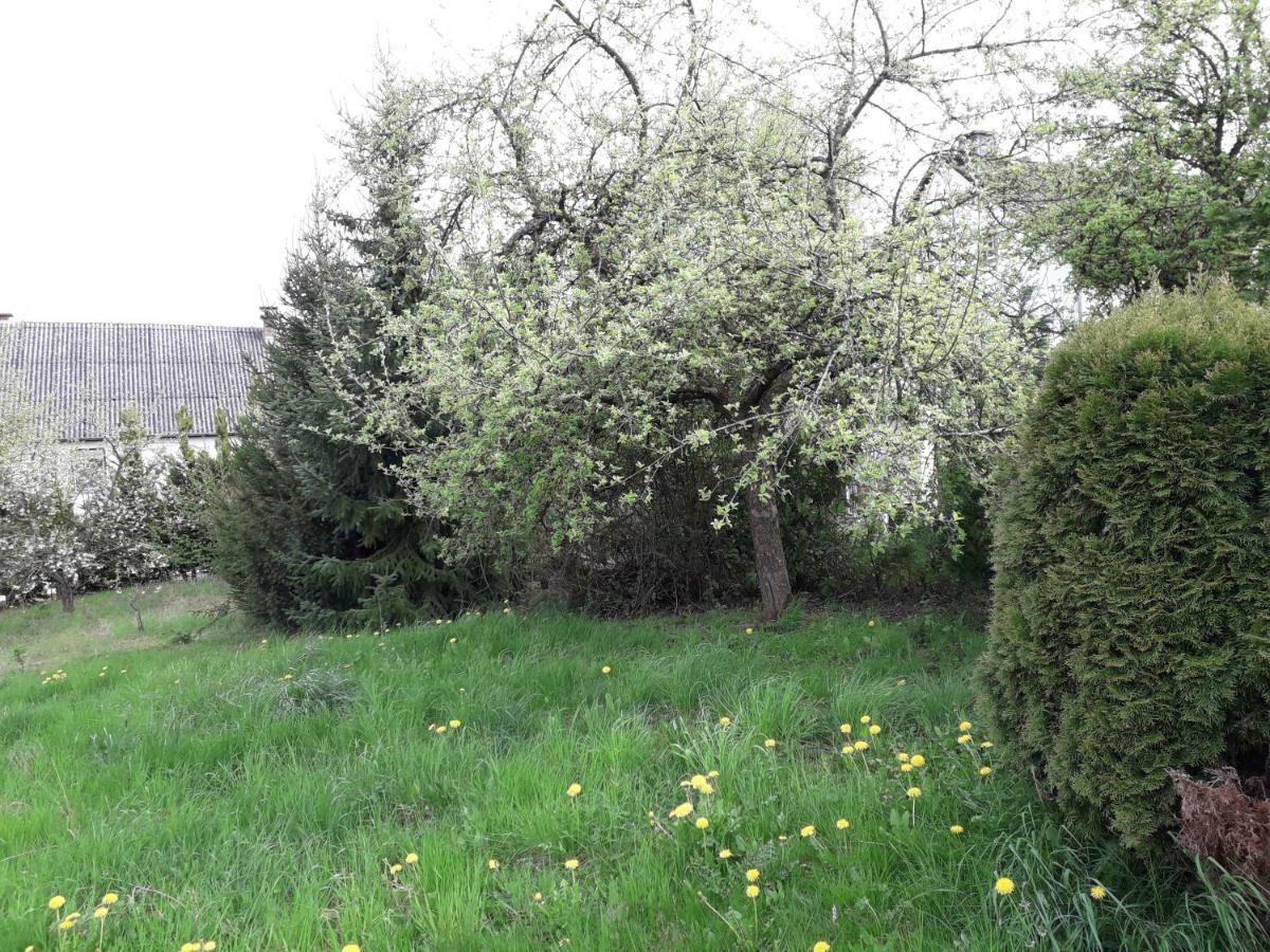 Vakantie Boerderij De Boerenzwaluw Karl Exteriör bild